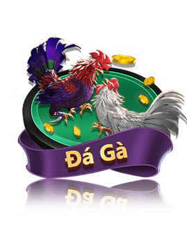 Đá gà